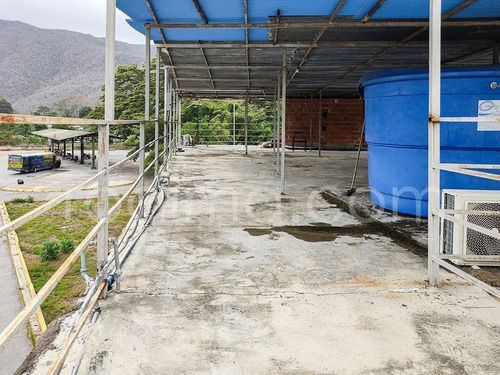 Imagen 18 de 20 de Ocumare, Aragua. Posada Con 11 Habitaciones