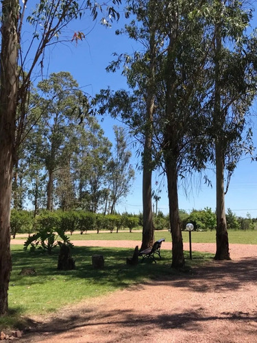 Venta De Casa De Campo En Canelones