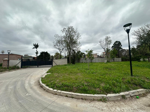 Venta Lote Financiación Avenida Olivos Y Panamericana Excelente Ubicación !!!