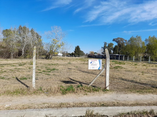 Terreno De 5.000 Metros Cuadrados