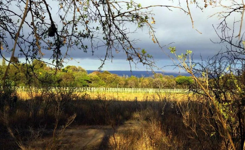 Imagen 2 de 13 de Campo De 6ha En Venta En La Chacra, La Paz, San Javier, Cdba