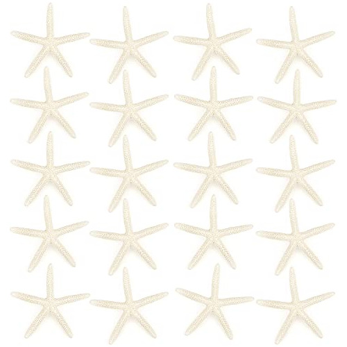 20 Pcs De Estrellas De Mar, De 2.5  4 , Estrellas De Ma...