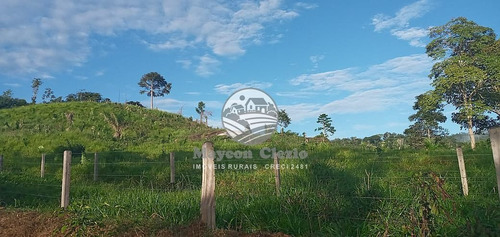 Imagem 5 de 9 de Venda Sítio Monte Negro Em Rondônia - Sig218
