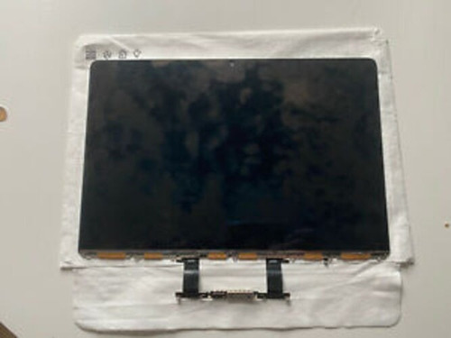 Pantalla Display Macbook Air A1237 13  Usada
