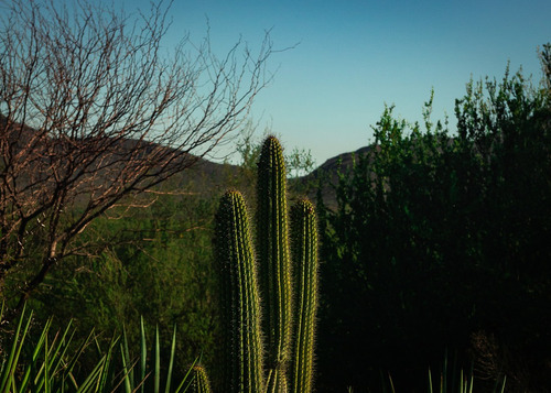 Cuadro - Fotografía 50x70 - Paisaje En Papel Fotográfico141