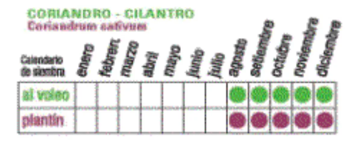 Segunda imagen para búsqueda de semillas