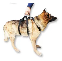 Comprar Arnes Perros Ayuda Ortopedia Displacia Cadera Rehabilitacion