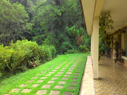 Imagem 29 de 30 de Sitio - St00006 - 4310429