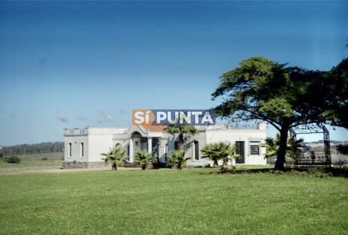 Imagen 14 de 30 de Chacra Importante En R. 39 Con 700 M2. Construidos