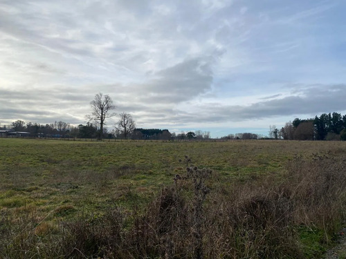 Oportunidad Única: Parcela 5.000 M² En Osorno