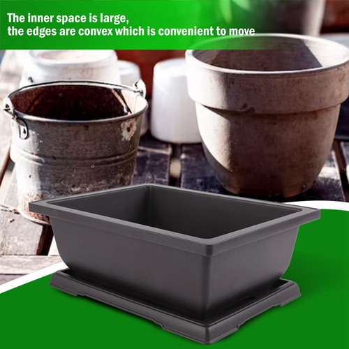 Y Maceta Rectangular Grande Para Bonsái