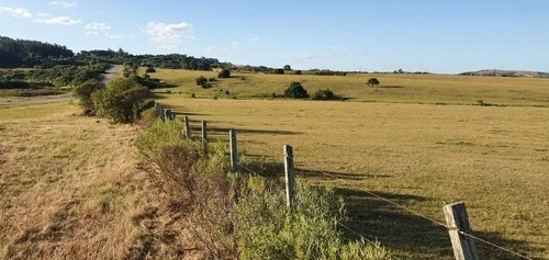 Campo De 35 Hectareas Sobre Ruta 12