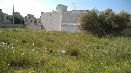 Imagen 6 de 11 de Terreno Muy Bien Ubicado