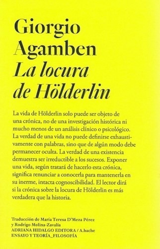 Libro La Locura De Holderlin - Giorgio Agamben - A. Hache