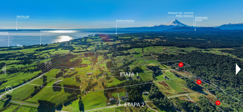 Espectacular Parcela Con Bosque En Condominio Las Tranqueras