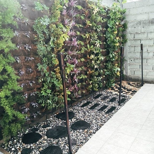 Jardines Verticales Barquisimeto