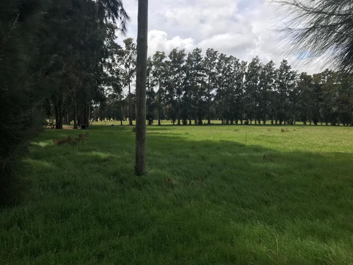 Campo Con Instalaciones 60 Hás . Ruta 9  A 73 Kilómetros De Montevideo