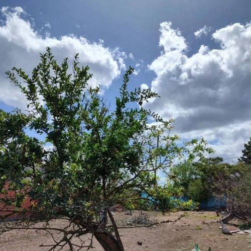 Lote En Venta En La Plata.
