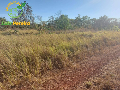 Imagem 11 de 13 de Fazenda À Venda No Vale Do Araguaia - 711,48 Hectares (dupla Aptidão) - 1947