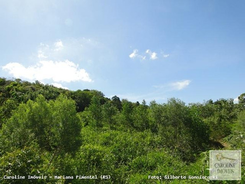 Imagem 14 de 15 de Área Rural Para Venda Em Mariana Pimentel, Linha Preta - Mariana Pimentel - 1148_1-731320