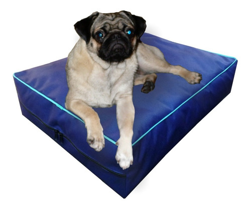 Colchon Liso Antidesgarro 50x30x10 Cm Cama Para Perros