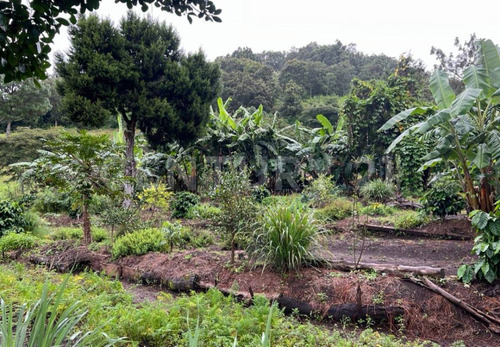 Terreno En Venta, Col. Chijilte, Teopisca, Chiapas