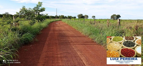 Imagem 10 de 15 de Fazenda À Venda Em Figueirópolis - To - De 114 Alqueirões (dupla Aptidão) - 1672