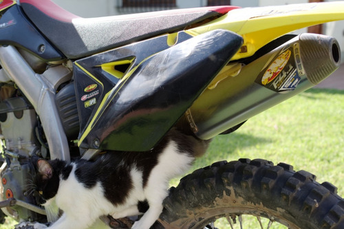 Suzuki Rmz 250 Usa