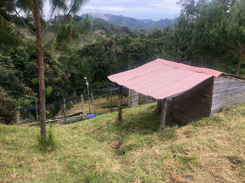 Imagen 7 de 21 de En Venta! Hermosa Finca Con Gran Terreno En Abejorral, Antioquia.