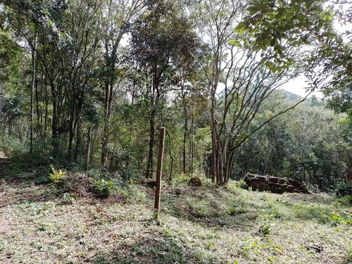 Lote Em Condomínio 1000m2 Na Estrada Real Córrego No Fundo. Lote Em Caeté Próximo A Barão De Cocais