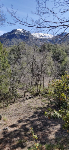 Preciosa Parcela En Las Trancas Con 2 Cabañas Km 64