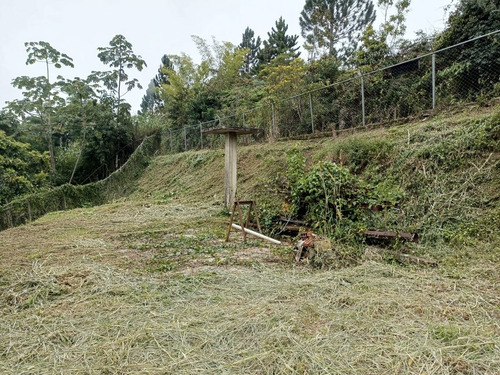 Imagen 9 de 16 de Terrenos En Venta