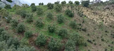 Finca en venta