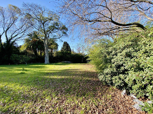 Imagen 10 de 19 de Espectacular Terreno Lote En Venta En Martinez Calle Semi Cortada