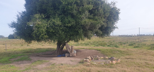 Oportunidad Linda Chacra De 7 Has En Barrio Chacras De San Carlos