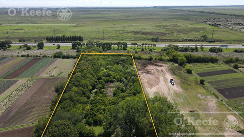 Chacra En Venta De 2 Has En Hudson, A Metros De Acceso Autovía Bs.as - La Plata