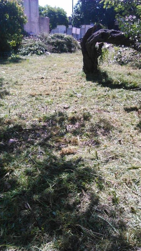 Imagen 8 de 10 de Terreno - Ituzaingó