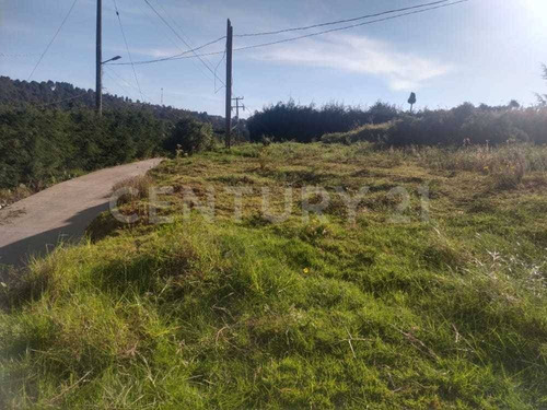 Imagen 4 de 16 de Terreno En Venta En El Pueblo Mágico De Villa Del Carbón