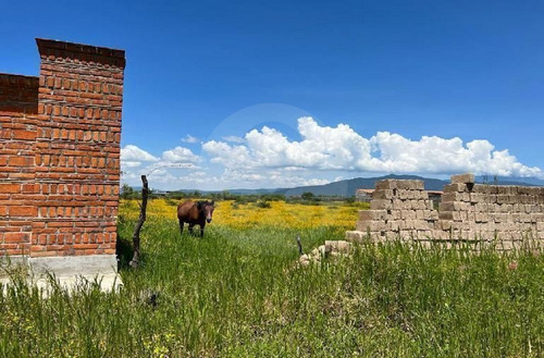 Terreno En Venta En Pinar De La Laguna 27 Atotonilco El Bajo Villa Corona