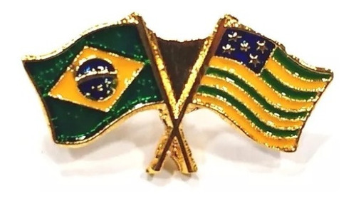Pim Bótom Broche Bandeira Do Estado De Goiás Folheado A Ouro