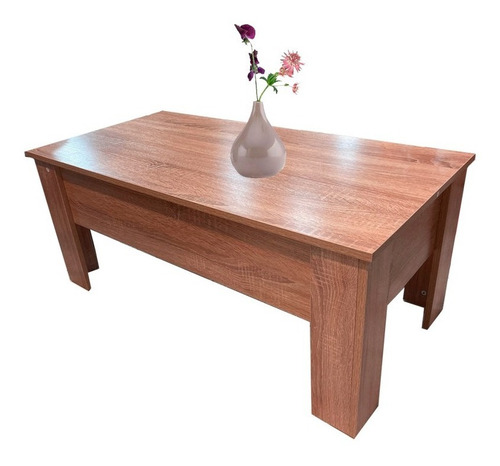 Imagen 3 de 8 de Mesa Ratona De Madera Se Levanta La Tapa Con Espacio Guardar