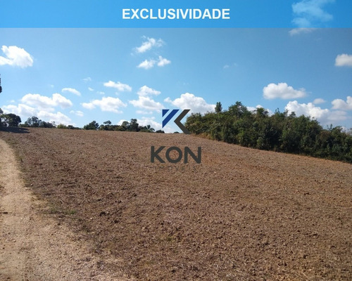 Imagem 1 de 16 de Área Industrial A Venda Em Araucária Pr - Te00004 - 68900873