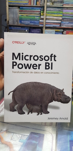 Libro Microsoft Power Bi (jeremey Arnold)