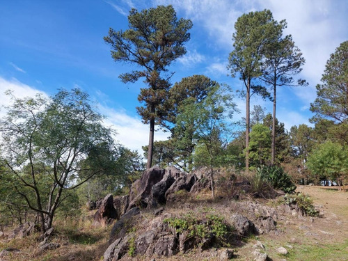 Complejo De Cabañas En Villa Yacanto Oportunidad De Inversión En El Corazón De Las Sierras