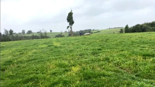 Venta Pc. 5.000 Mts.2 Despejada Fdo. Bellavista Los Muermos