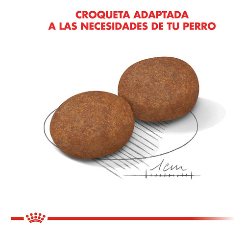 Alimento Royal Canin Perro Medium Senior +7 Medianos X 15kg