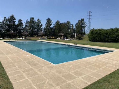 Imagen 8 de 13 de Venta Terreno De 1600m2 En Colinas De Carrasco
