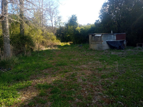 Venta De Predio De 40 Ha. En Comuna De Mafil