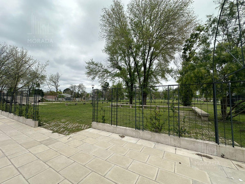 Venta Lote Financiación Avenida Olivos Y Panamericana Excelente Ubicación !!!