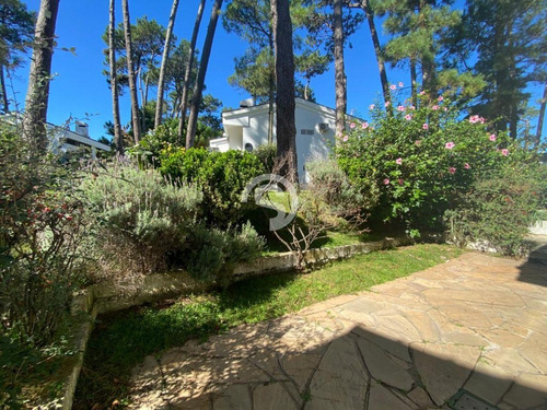 Apartamento 2 Dormitorios A La Venta- Ref: 4737